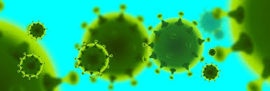 Bildergebnis für bild coronavirus